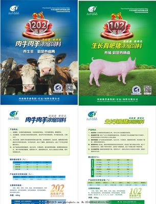 牛羊饲料单页两种图片