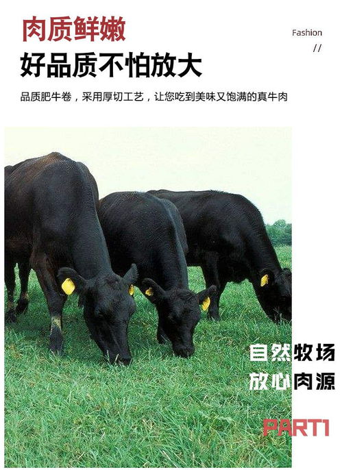 精品牛肉卷盒装雪花肥牛调理牛肉片火锅食材批发新鲜生牛